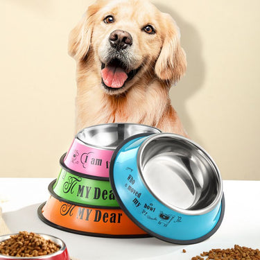 Stainless steel dog bowl; color anti - skid dog bowl; cat bowl - Apollo's Corner